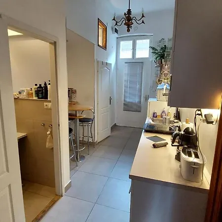 Classical In The Old Pest شقة